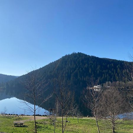 Chalet Authentique Au Calme, En Lisiere De Foret, Montagne, Sentiers 15Mn Gerardmer & Alsace "Chalet Mon Beau Sapin" Anould Εξωτερικό φωτογραφία