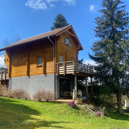 Chalet Authentique Au Calme, En Lisiere De Foret, Montagne, Sentiers 15Mn Gerardmer & Alsace "Chalet Mon Beau Sapin" Anould Εξωτερικό φωτογραφία