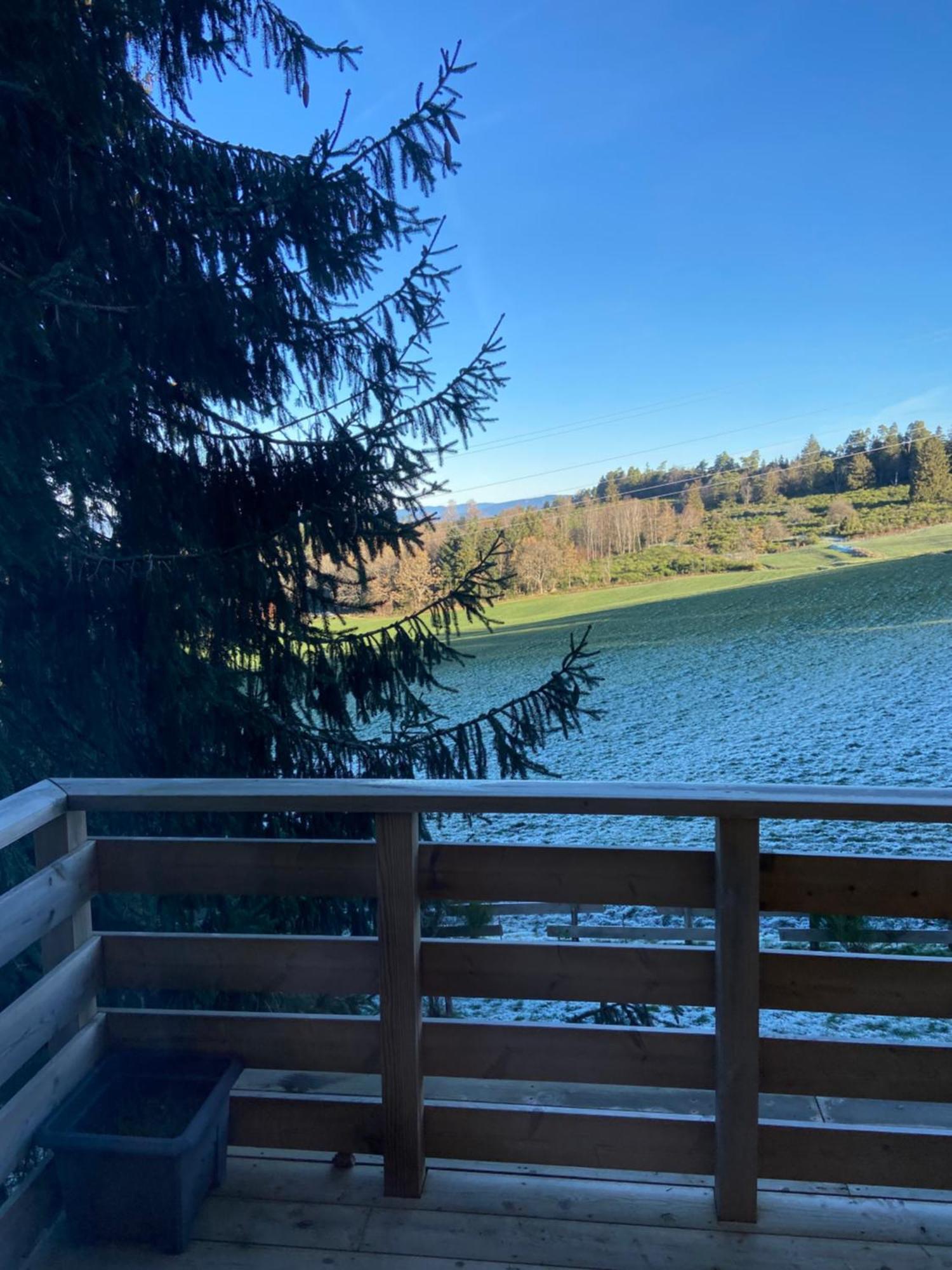 Chalet Authentique Au Calme, En Lisiere De Foret, Montagne, Sentiers 15Mn Gerardmer & Alsace "Chalet Mon Beau Sapin" Anould Εξωτερικό φωτογραφία