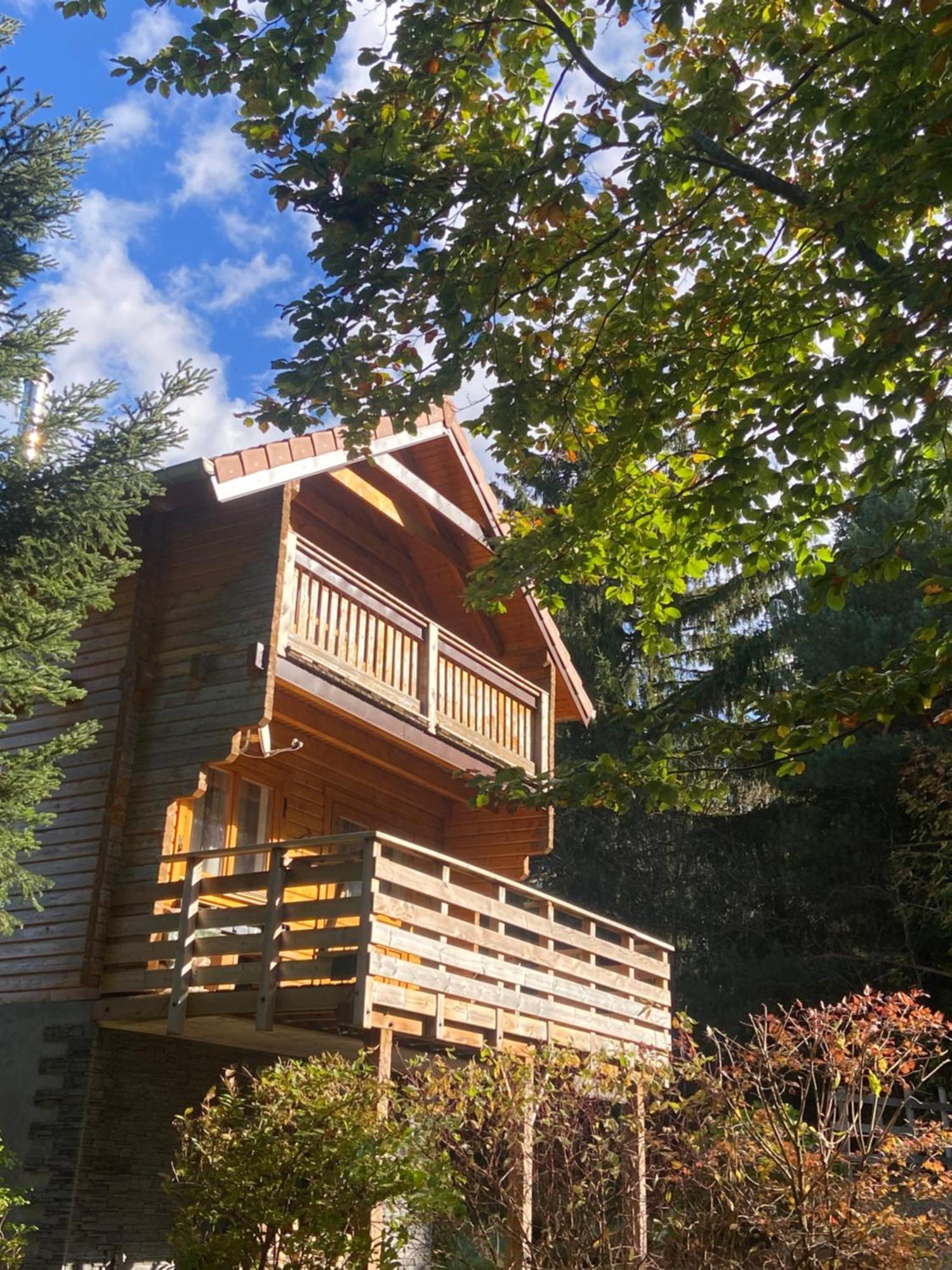 Chalet Authentique Au Calme, En Lisiere De Foret, Montagne, Sentiers 15Mn Gerardmer & Alsace "Chalet Mon Beau Sapin" Anould Εξωτερικό φωτογραφία