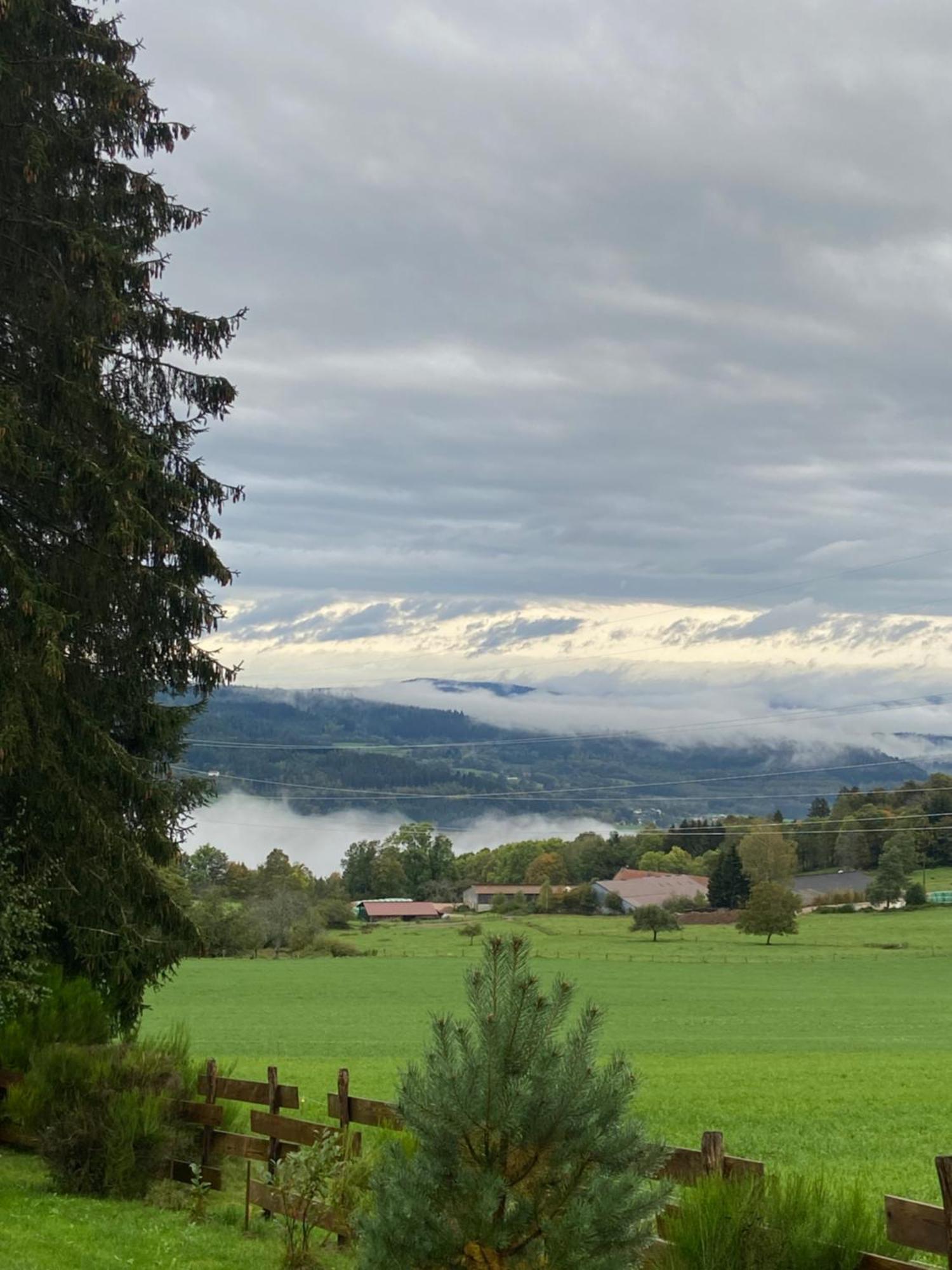 Chalet Authentique Au Calme, En Lisiere De Foret, Montagne, Sentiers 15Mn Gerardmer & Alsace "Chalet Mon Beau Sapin" Anould Εξωτερικό φωτογραφία