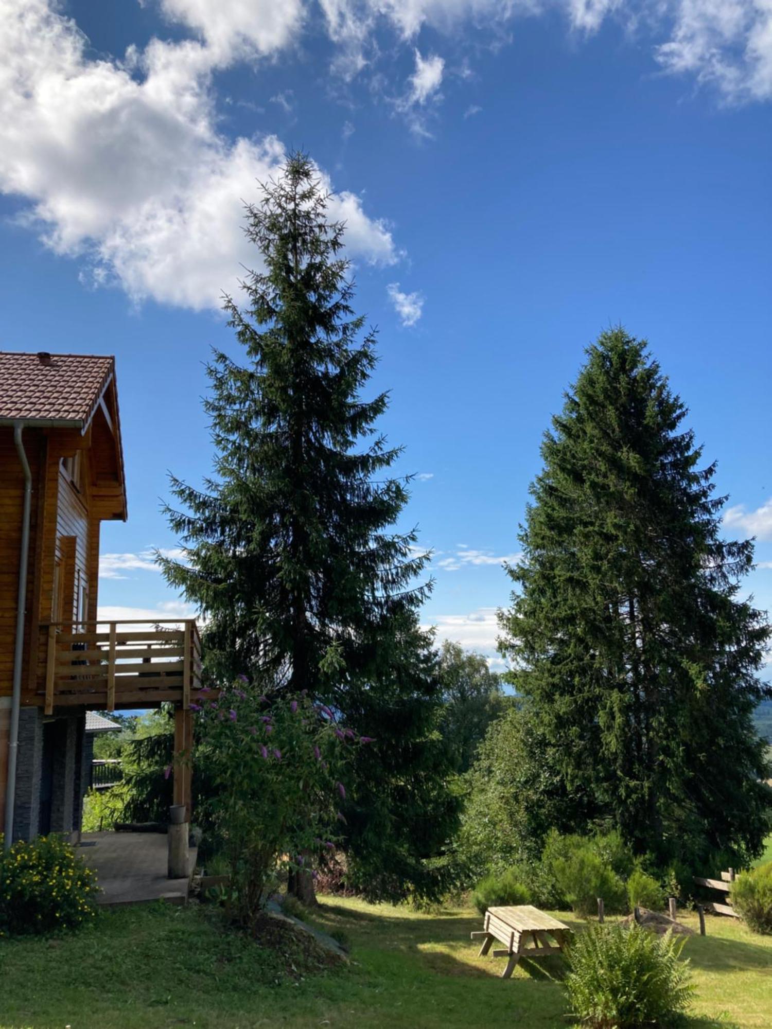 Chalet Authentique Au Calme, En Lisiere De Foret, Montagne, Sentiers 15Mn Gerardmer & Alsace "Chalet Mon Beau Sapin" Anould Εξωτερικό φωτογραφία
