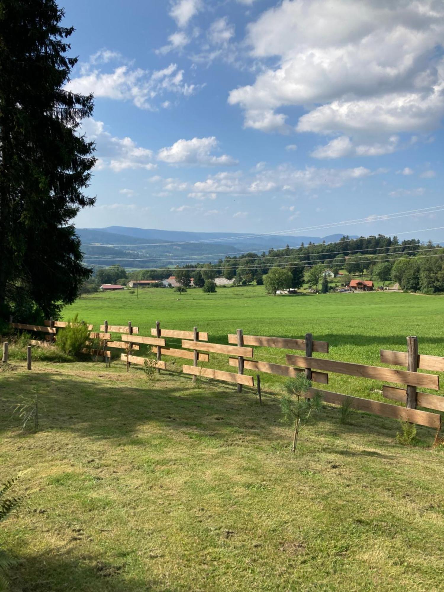 Chalet Authentique Au Calme, En Lisiere De Foret, Montagne, Sentiers 15Mn Gerardmer & Alsace "Chalet Mon Beau Sapin" Anould Εξωτερικό φωτογραφία