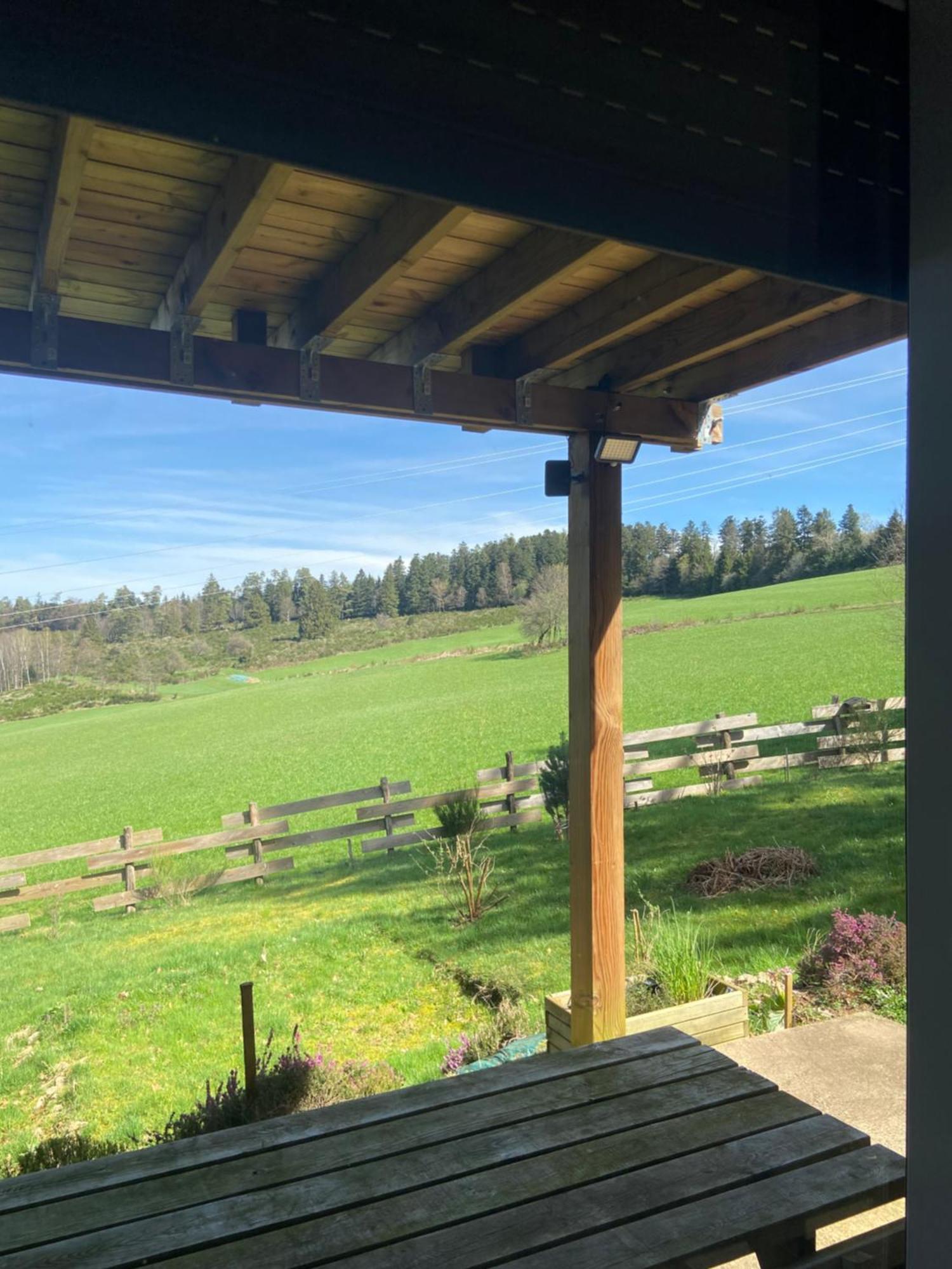 Chalet Authentique Au Calme, En Lisiere De Foret, Montagne, Sentiers 15Mn Gerardmer & Alsace "Chalet Mon Beau Sapin" Anould Εξωτερικό φωτογραφία
