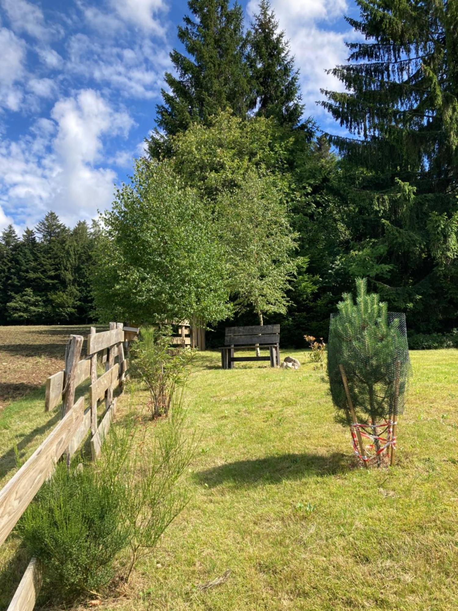 Chalet Authentique Au Calme, En Lisiere De Foret, Montagne, Sentiers 15Mn Gerardmer & Alsace "Chalet Mon Beau Sapin" Anould Εξωτερικό φωτογραφία