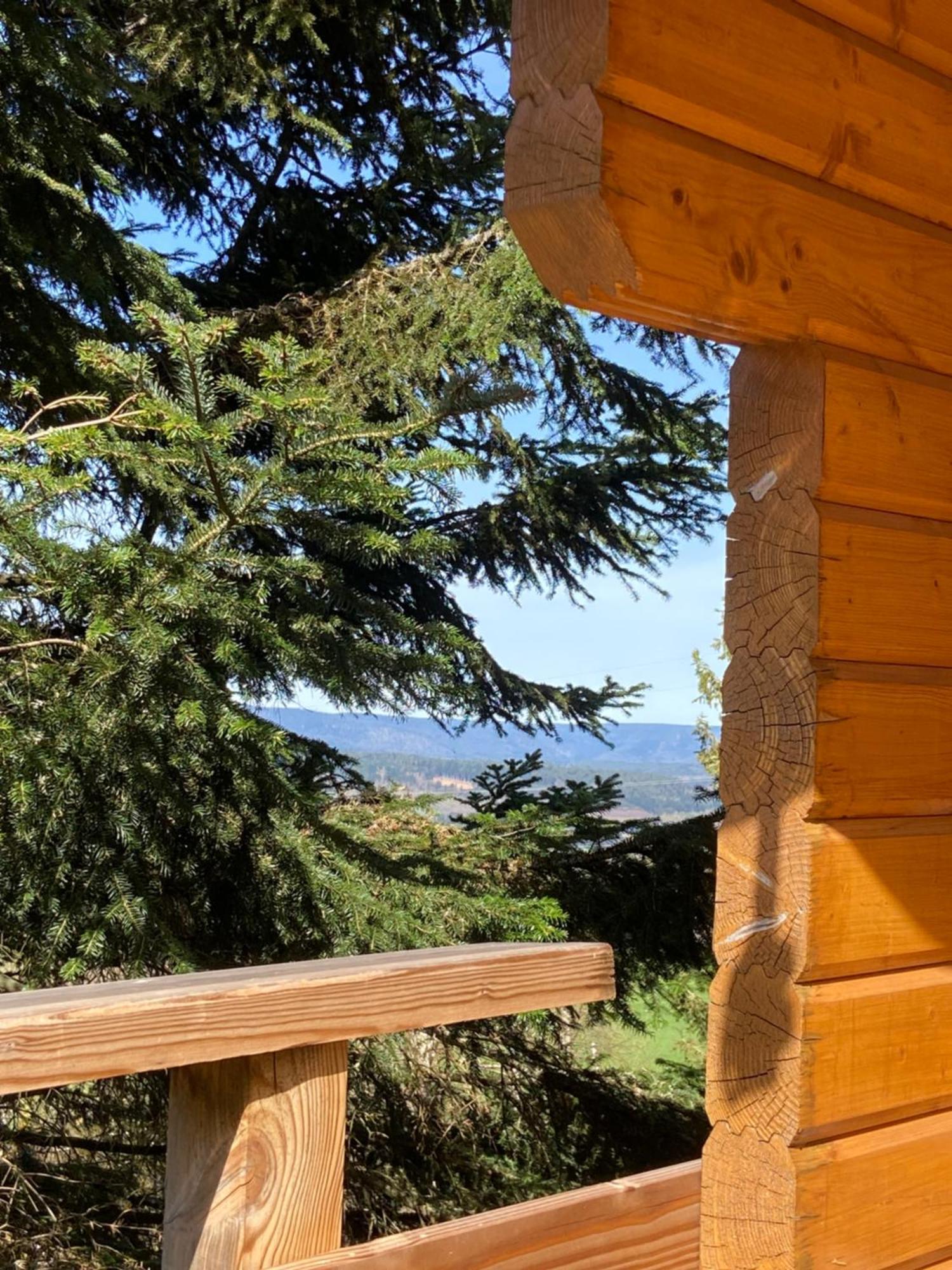 Chalet Authentique Au Calme, En Lisiere De Foret, Montagne, Sentiers 15Mn Gerardmer & Alsace "Chalet Mon Beau Sapin" Anould Εξωτερικό φωτογραφία