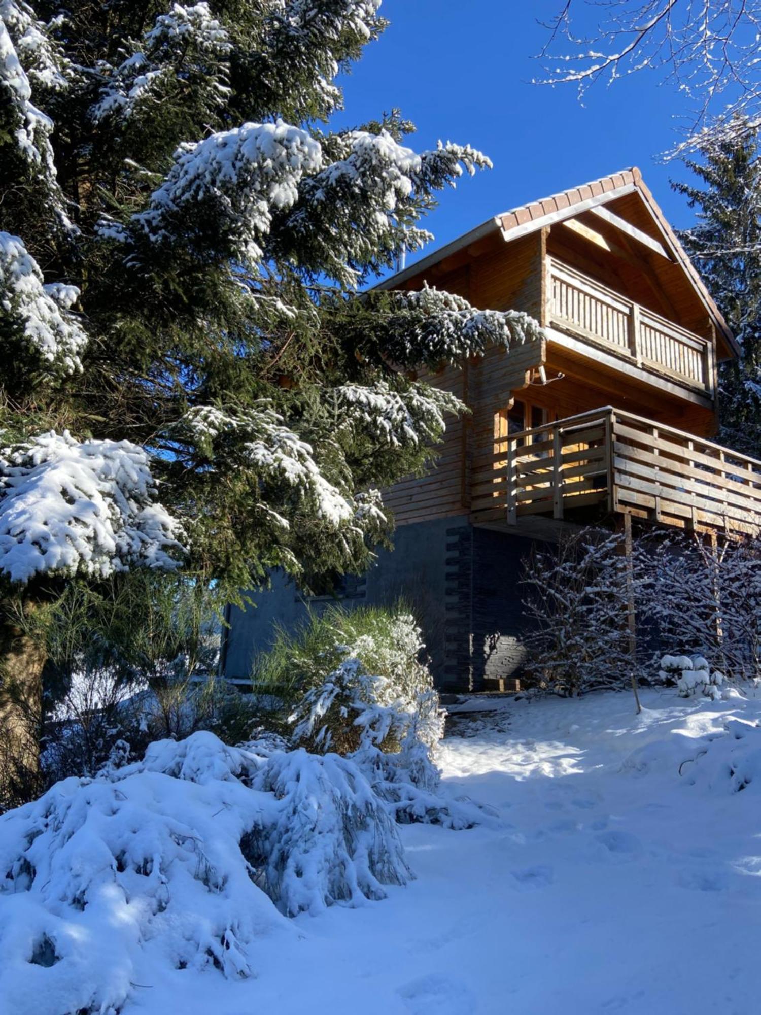 Chalet Authentique Au Calme, En Lisiere De Foret, Montagne, Sentiers 15Mn Gerardmer & Alsace "Chalet Mon Beau Sapin" Anould Εξωτερικό φωτογραφία