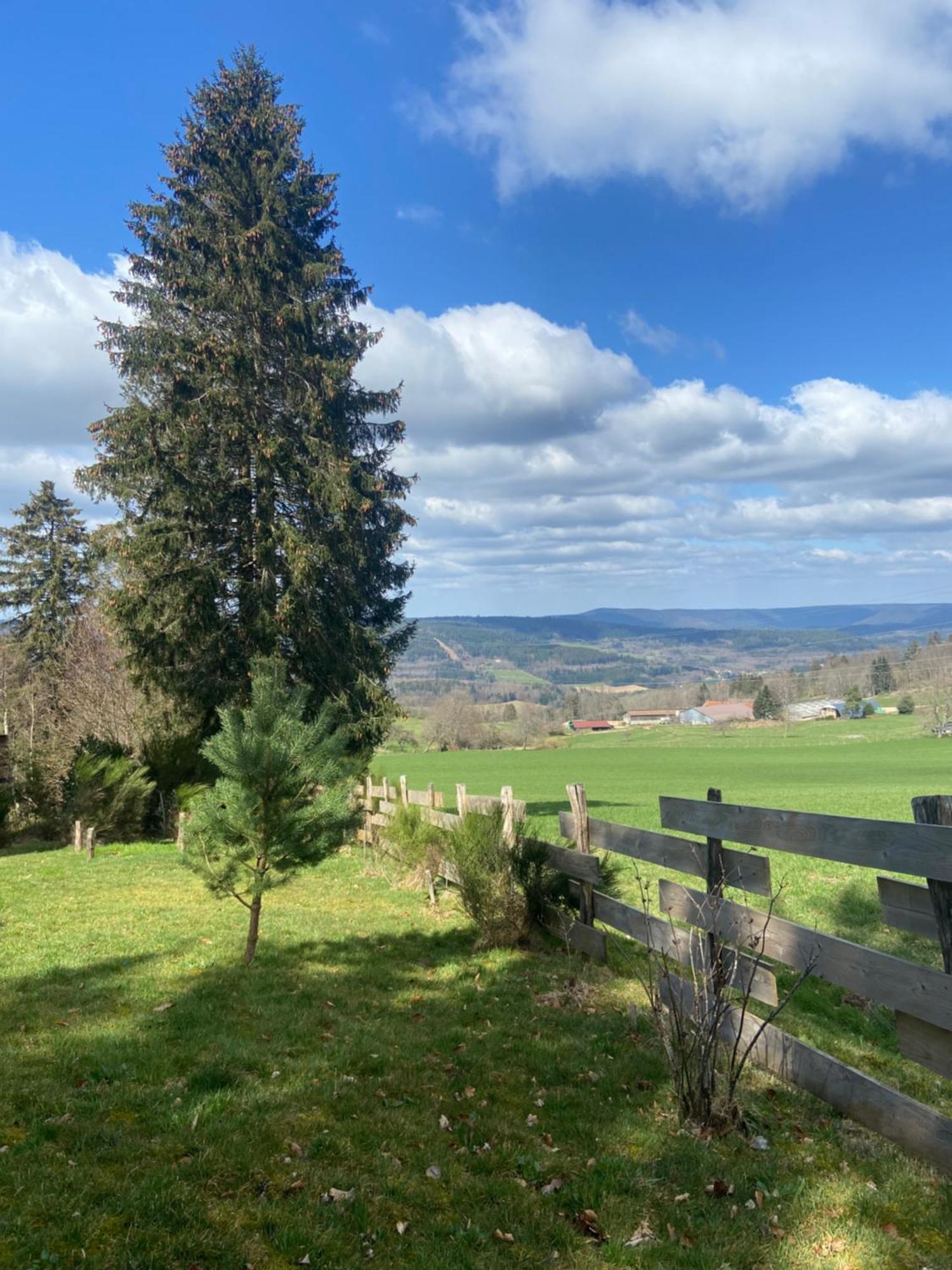 Chalet Authentique Au Calme, En Lisiere De Foret, Montagne, Sentiers 15Mn Gerardmer & Alsace "Chalet Mon Beau Sapin" Anould Εξωτερικό φωτογραφία