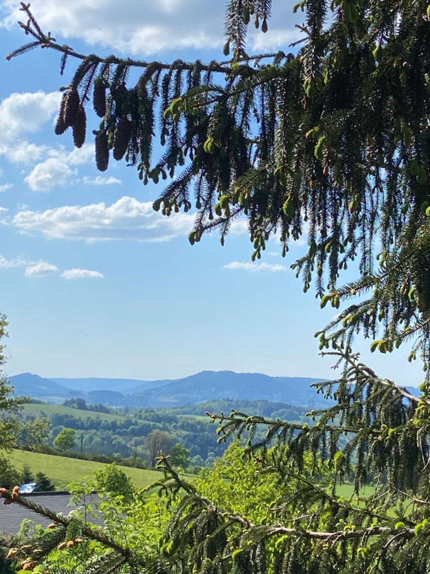 Chalet Authentique Au Calme, En Lisiere De Foret, Montagne, Sentiers 15Mn Gerardmer & Alsace "Chalet Mon Beau Sapin" Anould Εξωτερικό φωτογραφία