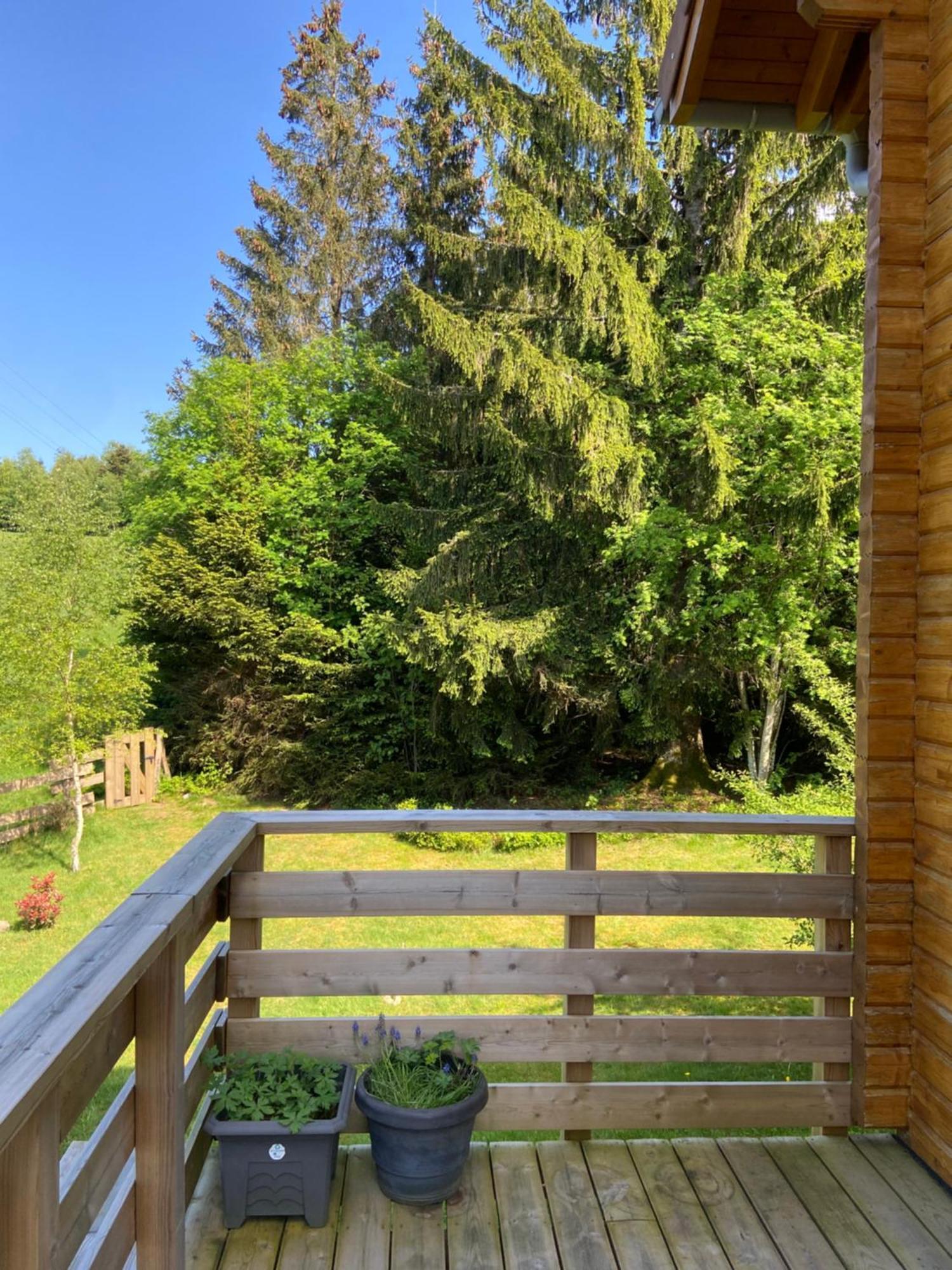 Chalet Authentique Au Calme, En Lisiere De Foret, Montagne, Sentiers 15Mn Gerardmer & Alsace "Chalet Mon Beau Sapin" Anould Εξωτερικό φωτογραφία